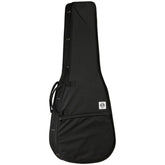 Tanglewood TW SD C – Soft Padded Gig Case